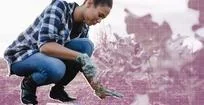 Transforming Your Garden: Innovative Uses for Everyday Food Scraps